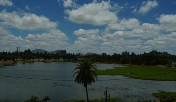 Ramanathapura Lake Devanahalli
